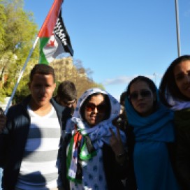 Activistas del Sáhara libre
